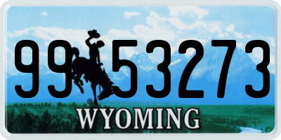 WY license plate 9953273