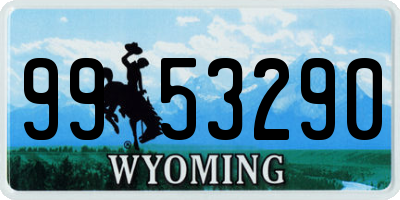 WY license plate 9953290
