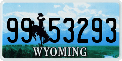 WY license plate 9953293