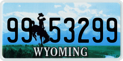 WY license plate 9953299
