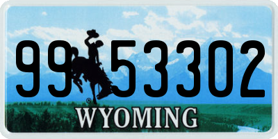 WY license plate 9953302