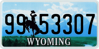 WY license plate 9953307