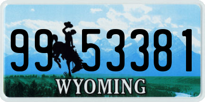 WY license plate 9953381