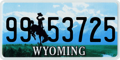 WY license plate 9953725
