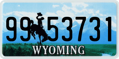 WY license plate 9953731