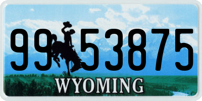 WY license plate 9953875