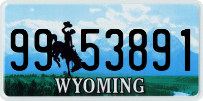WY license plate 9953891