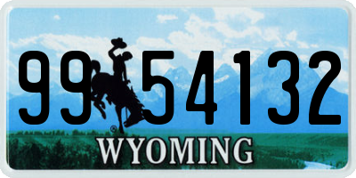 WY license plate 9954132