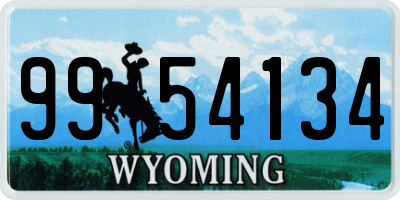 WY license plate 9954134