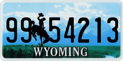 WY license plate 9954213