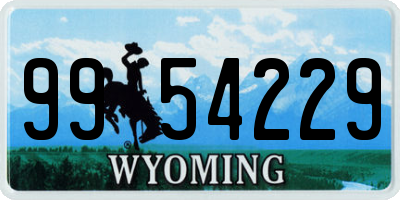WY license plate 9954229