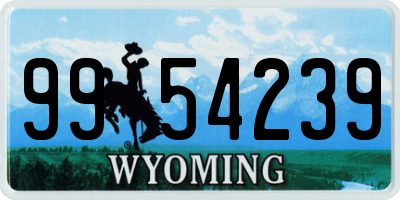 WY license plate 9954239