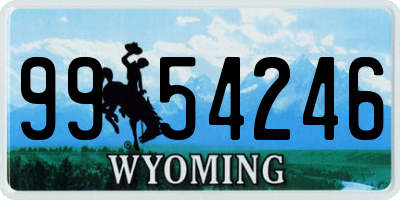 WY license plate 9954246