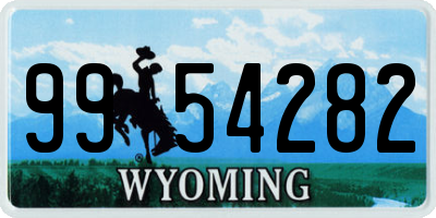 WY license plate 9954282