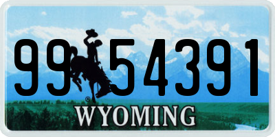 WY license plate 9954391