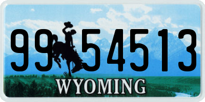 WY license plate 9954513