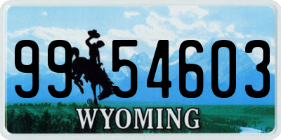 WY license plate 9954603