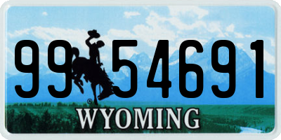 WY license plate 9954691