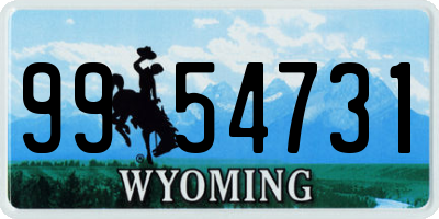 WY license plate 9954731