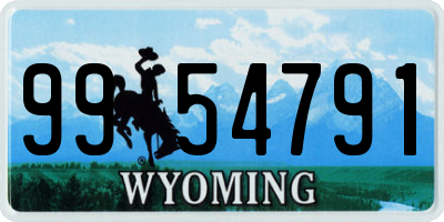 WY license plate 9954791