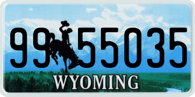 WY license plate 9955035