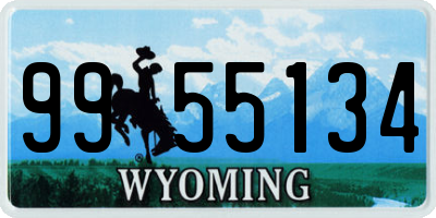 WY license plate 9955134