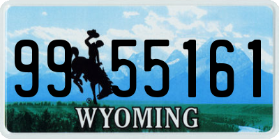 WY license plate 9955161