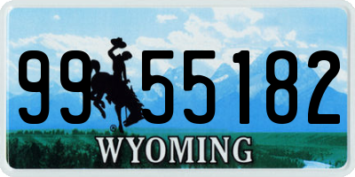 WY license plate 9955182