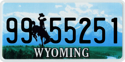 WY license plate 9955251