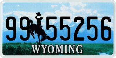 WY license plate 9955256