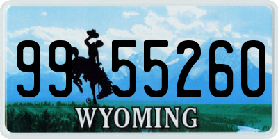 WY license plate 9955260