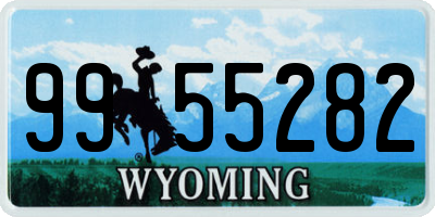WY license plate 9955282