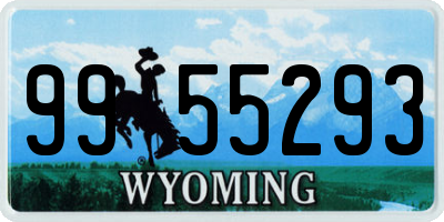 WY license plate 9955293