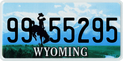WY license plate 9955295