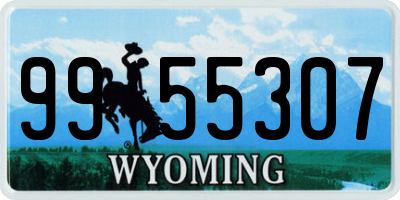 WY license plate 9955307