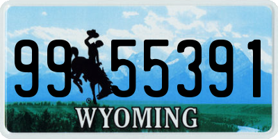 WY license plate 9955391