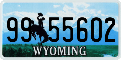 WY license plate 9955602