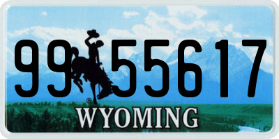 WY license plate 9955617