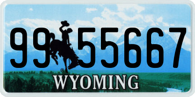 WY license plate 9955667