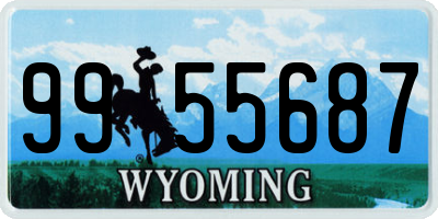 WY license plate 9955687
