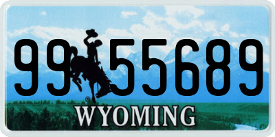 WY license plate 9955689