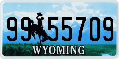 WY license plate 9955709
