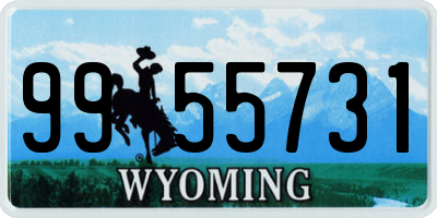 WY license plate 9955731