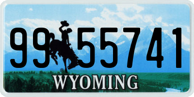 WY license plate 9955741