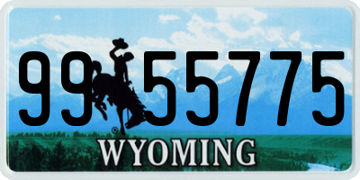WY license plate 9955775