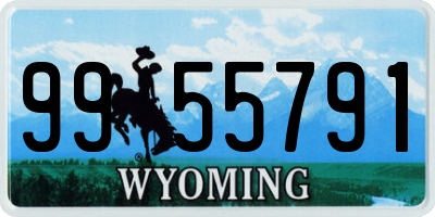 WY license plate 9955791