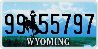 WY license plate 9955797
