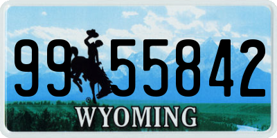 WY license plate 9955842