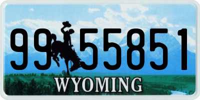 WY license plate 9955851
