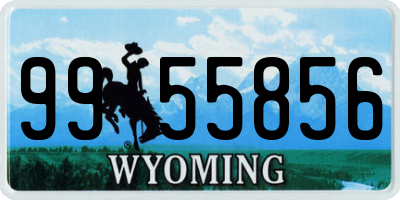WY license plate 9955856